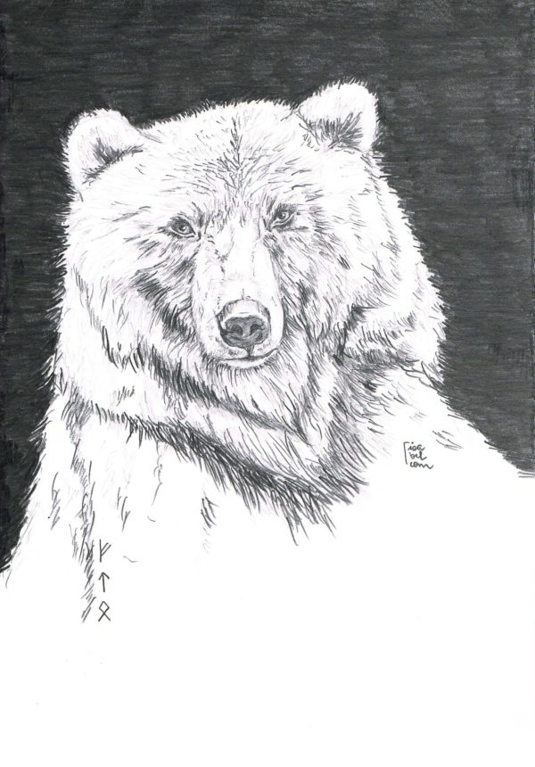 Expérience "Dessine-moi" – Image 2