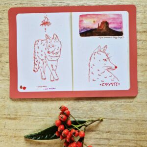 Carte postale Coyote