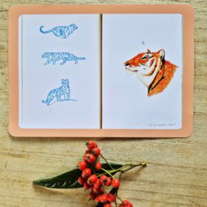 Carte postale Tigre